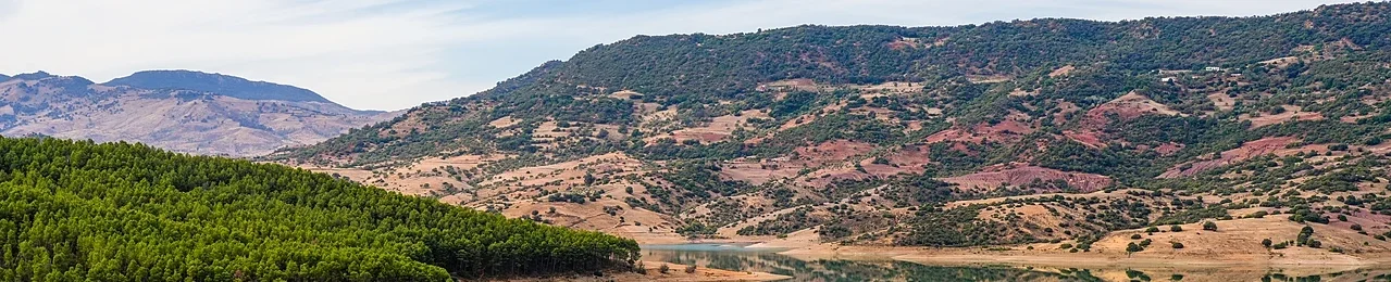 header-image